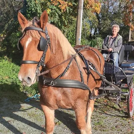 Villa Ti Gwen Plonévez-du-Faou Esterno foto